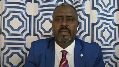 محمد الباشا طبيق